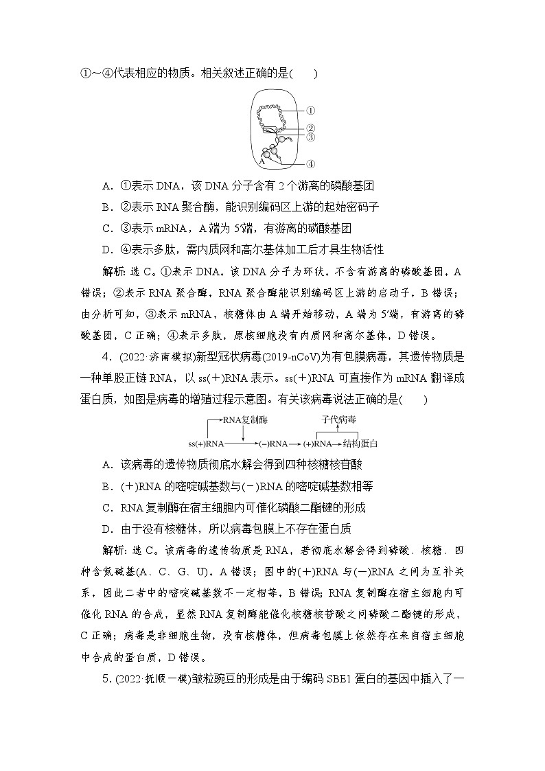 2024届人教版高考生物一轮复习基因的表达作业（多项版）含答案02