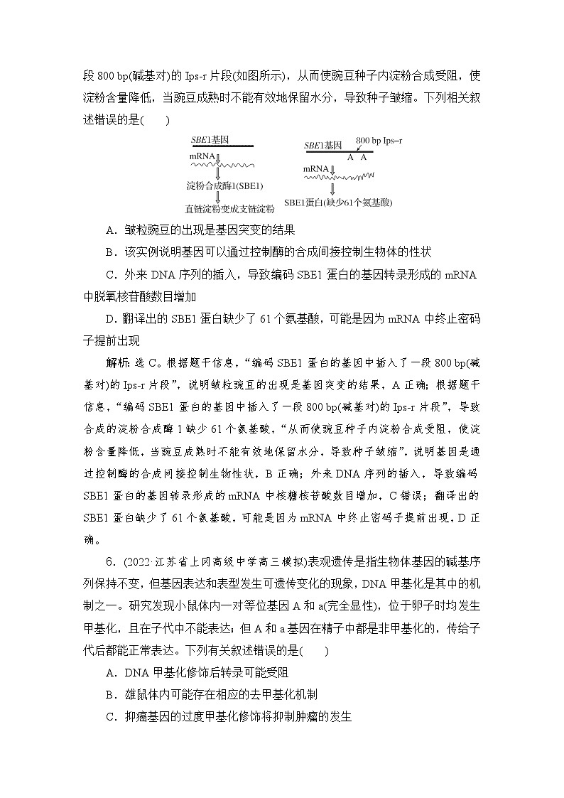 2024届人教版高考生物一轮复习基因的表达作业（多项版）含答案03