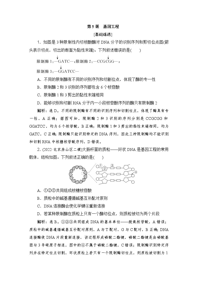 2024届人教版高考生物一轮复习基因工程作业（多项版）含答案01