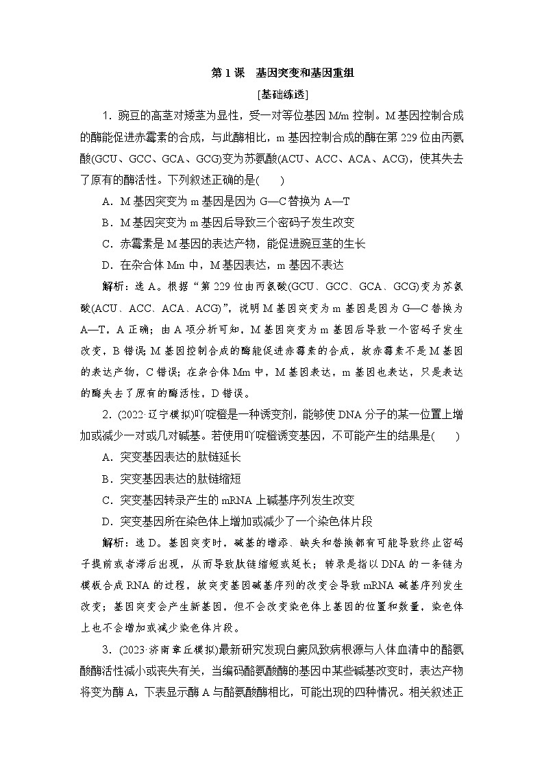 2024届人教版高考生物一轮复习基因突变和基因重组作业（多项版）含答案01