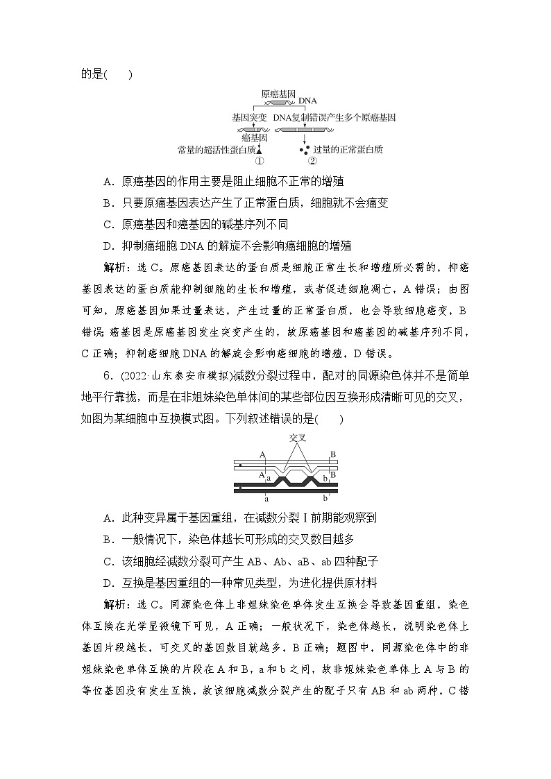 2024届人教版高考生物一轮复习基因突变和基因重组作业（多项版）含答案03