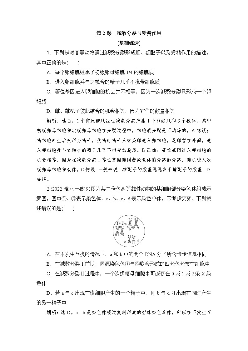 2024届人教版高考生物一轮复习减数分裂与受精作用作业（多项版）含答案01