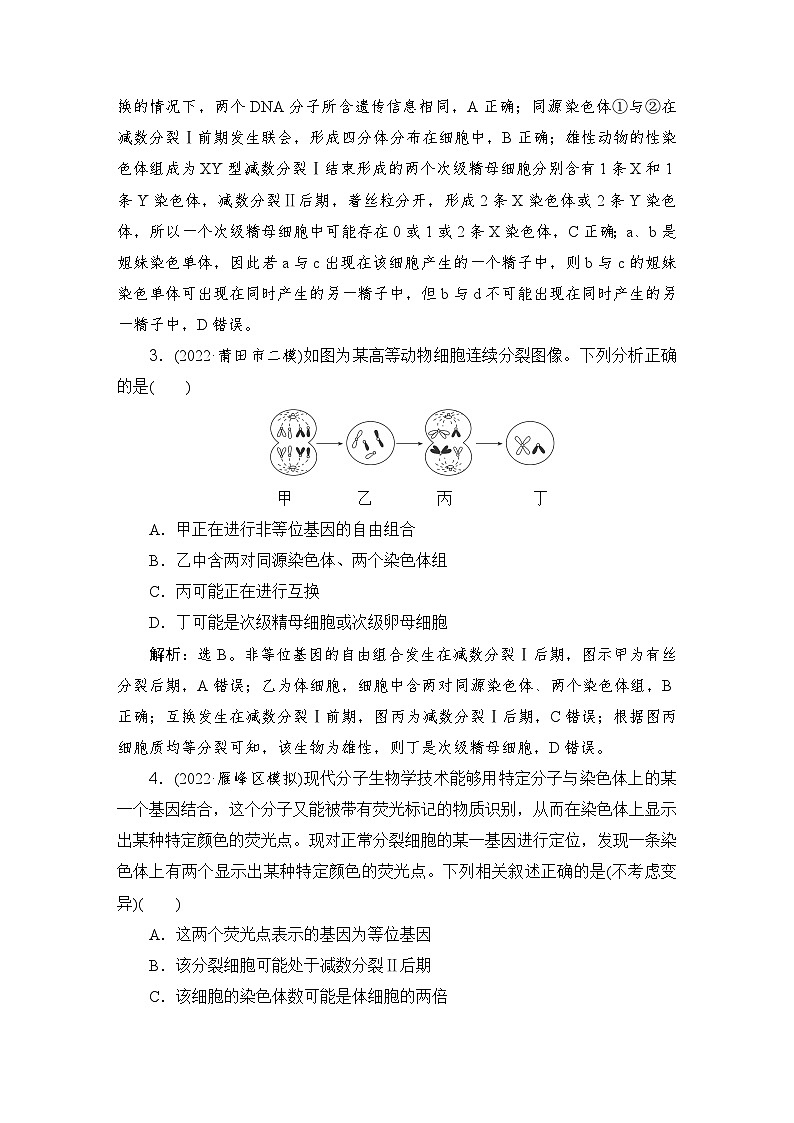 2024届人教版高考生物一轮复习减数分裂与受精作用作业（多项版）含答案02