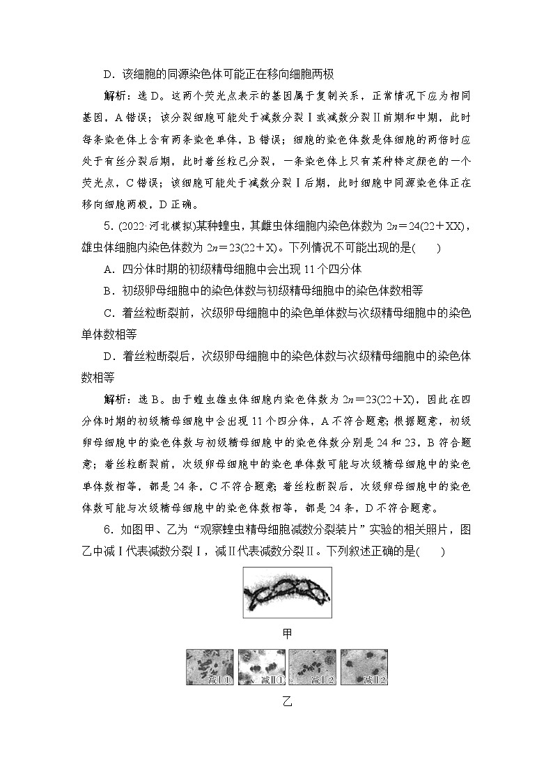 2024届人教版高考生物一轮复习减数分裂与受精作用作业（多项版）含答案03