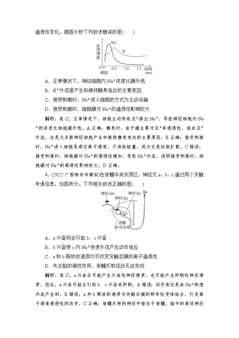 2024届人教版高考生物一轮复习神经调节作业（多项版）含答案02