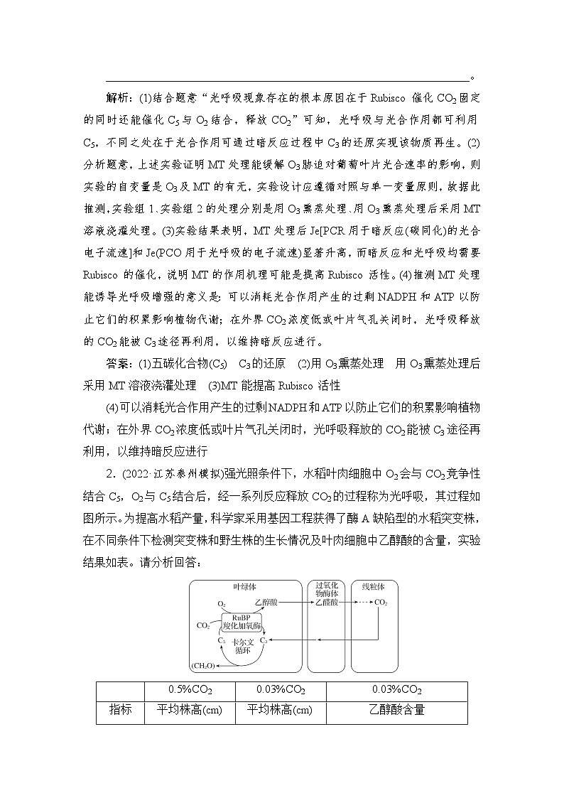 2024届人教版高考生物一轮复习特色热点练1光呼吸与光抑制作业（多项版）含答案第2页