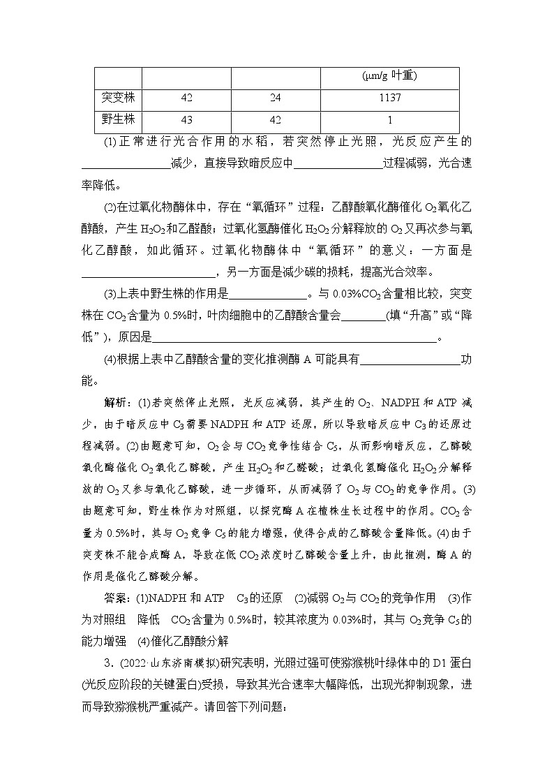 2024届人教版高考生物一轮复习特色热点练1光呼吸与光抑制作业（多项版）含答案第3页