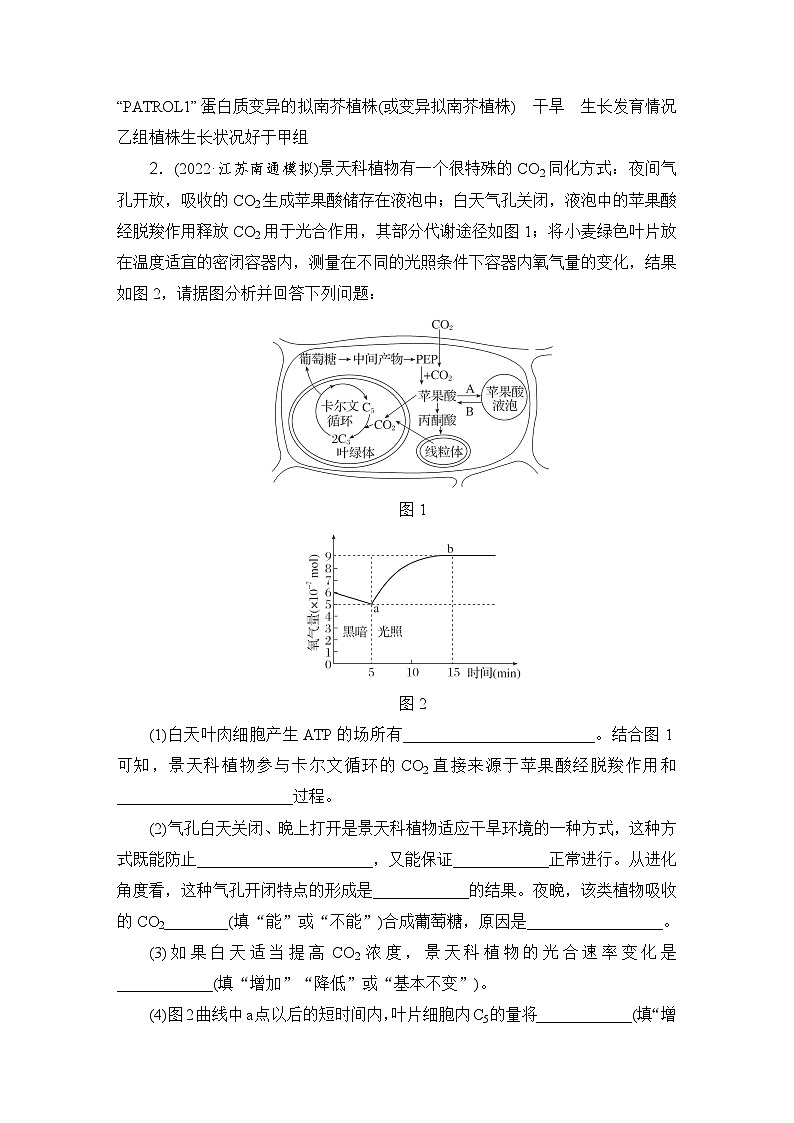 2024届人教版高考生物一轮复习特色热点练2气孔开闭作业（多项版）含答案第2页