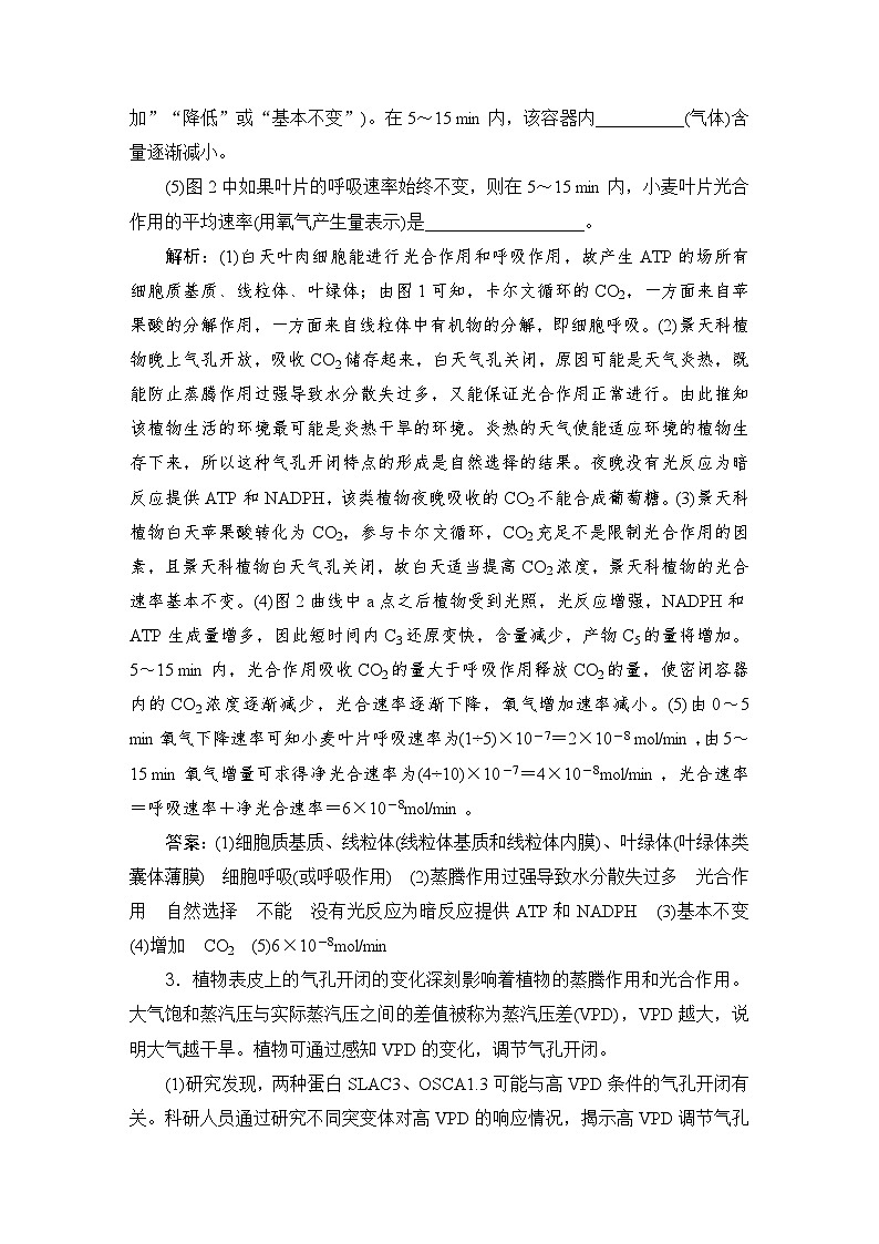 2024届人教版高考生物一轮复习特色热点练2气孔开闭作业（多项版）含答案第3页