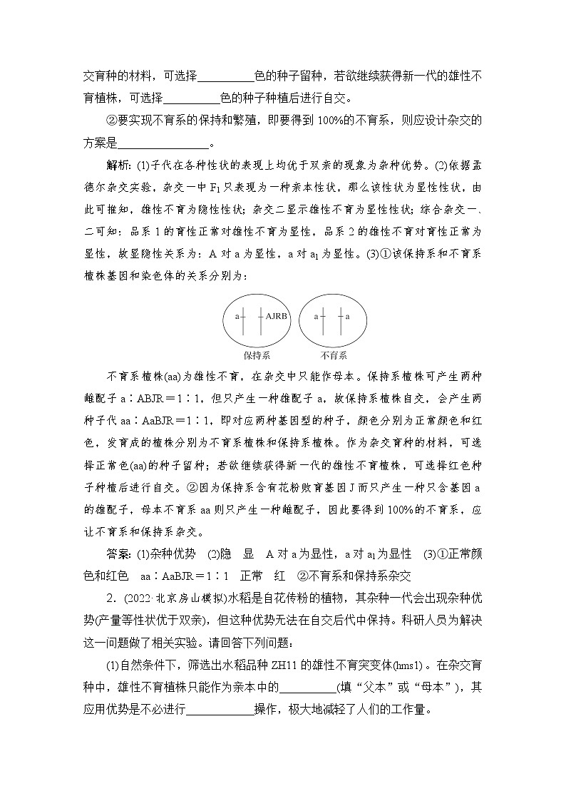 2024届人教版高考生物一轮复习特色热点练3雄性不育作业（多项版）含答案第2页