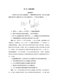 2024届人教版高考生物一轮复习细胞的增殖作业（多项版）含答案