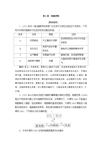 2024届人教版高考生物一轮复习细胞呼吸作业（多项版）含答案