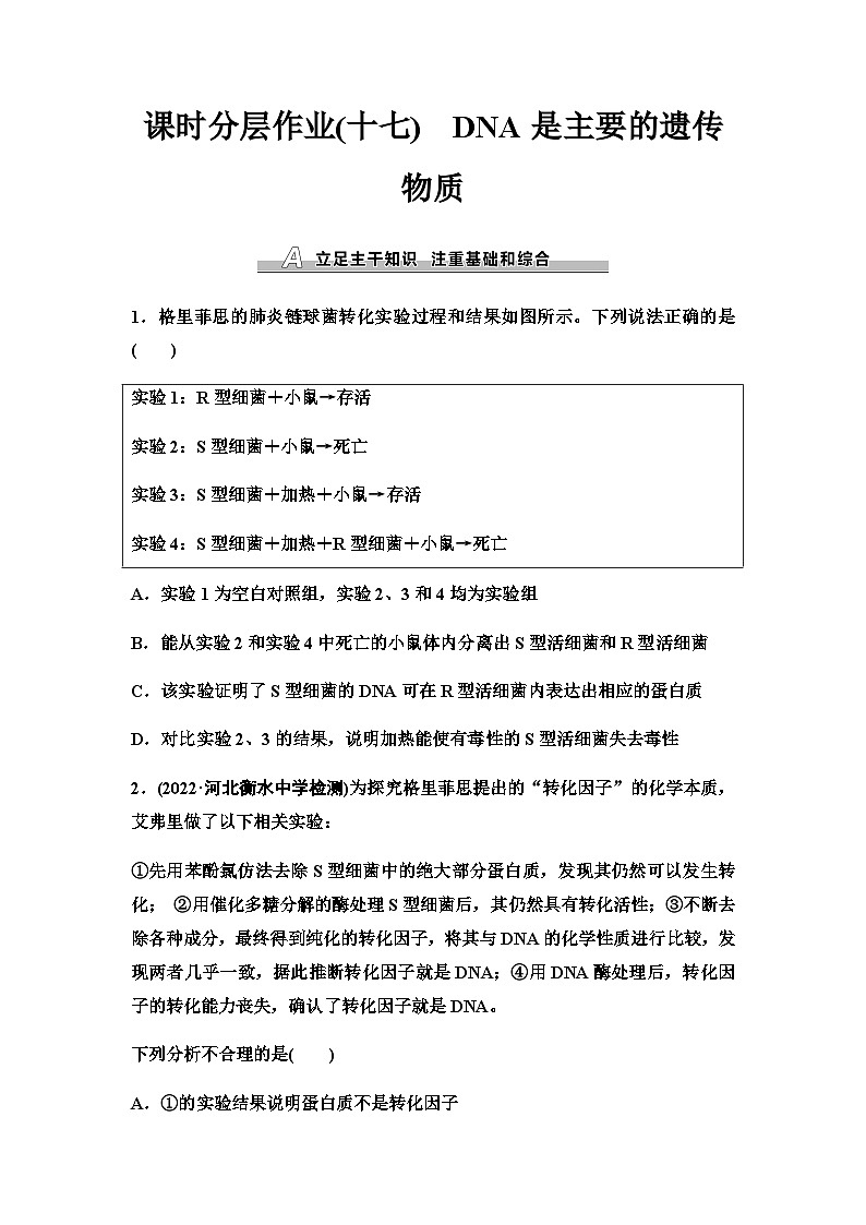 2024届人教版高考生物一轮复习DNA是主要的遗传物质作业含答案第1页