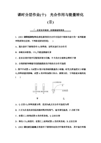 2024届人教版高考生物一轮复习光合作用与能量转化(Ⅱ)作业含答案