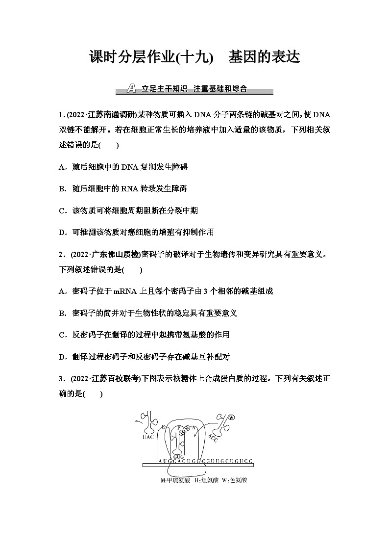2024届人教版高考生物一轮复习基因的表达作业含答案01