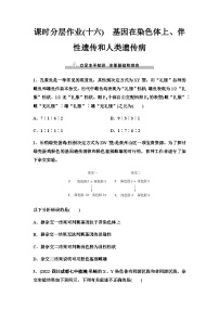 2024届人教版高考生物一轮复习基因在染色体上、伴性遗传和人类遗传病作业含答案