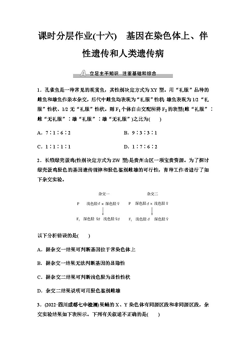 2024届人教版高考生物一轮复习基因在染色体上、伴性遗传和人类遗传病作业含答案第1页