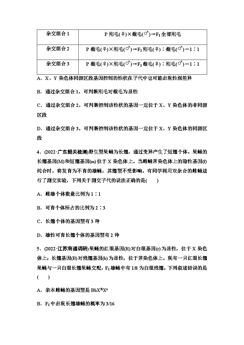 2024届人教版高考生物一轮复习基因在染色体上、伴性遗传和人类遗传病作业含答案第2页