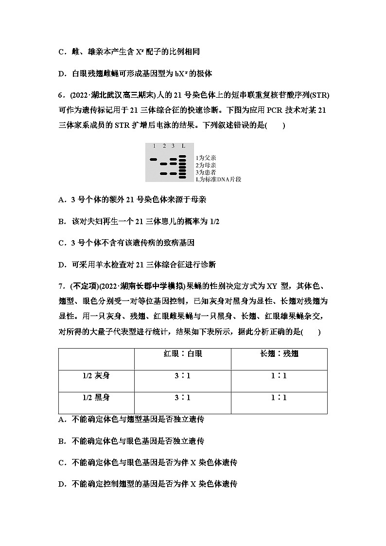 2024届人教版高考生物一轮复习基因在染色体上、伴性遗传和人类遗传病作业含答案第3页