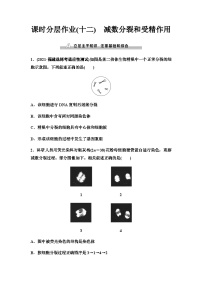 2024届人教版高考生物一轮复习减数分裂和受精作用作业含答案