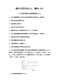 2024届人教版高考生物一轮复习酶和ATP作业含答案