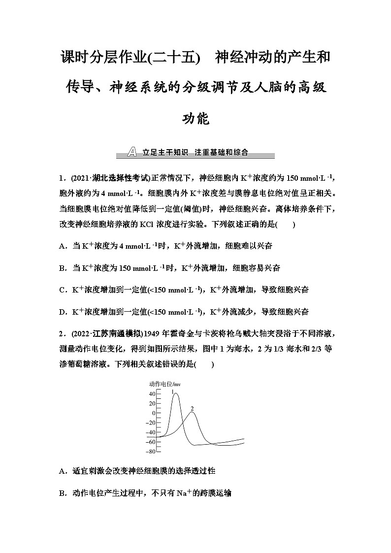2024届人教版高考生物一轮复习神经冲动的产生和传导、神经系统的分级调节及人脑的高级功能作业含答案01