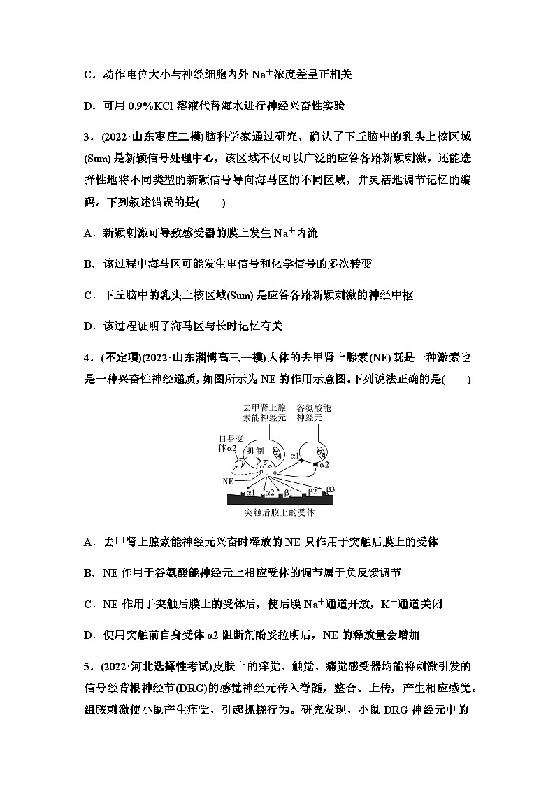 2024届人教版高考生物一轮复习神经冲动的产生和传导、神经系统的分级调节及人脑的高级功能作业含答案02