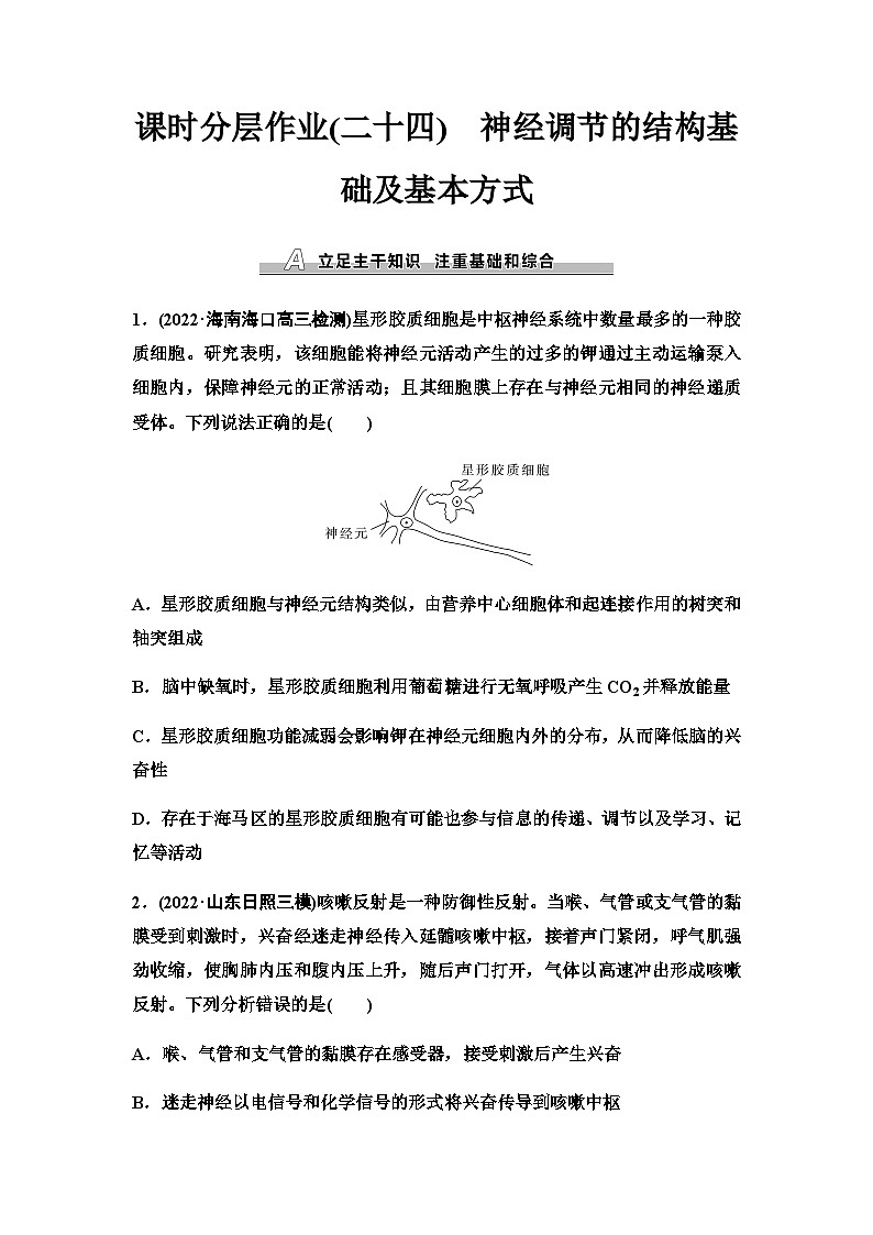 2024届人教版高考生物一轮复习神经调节的结构基础及基本方式作业含答案01