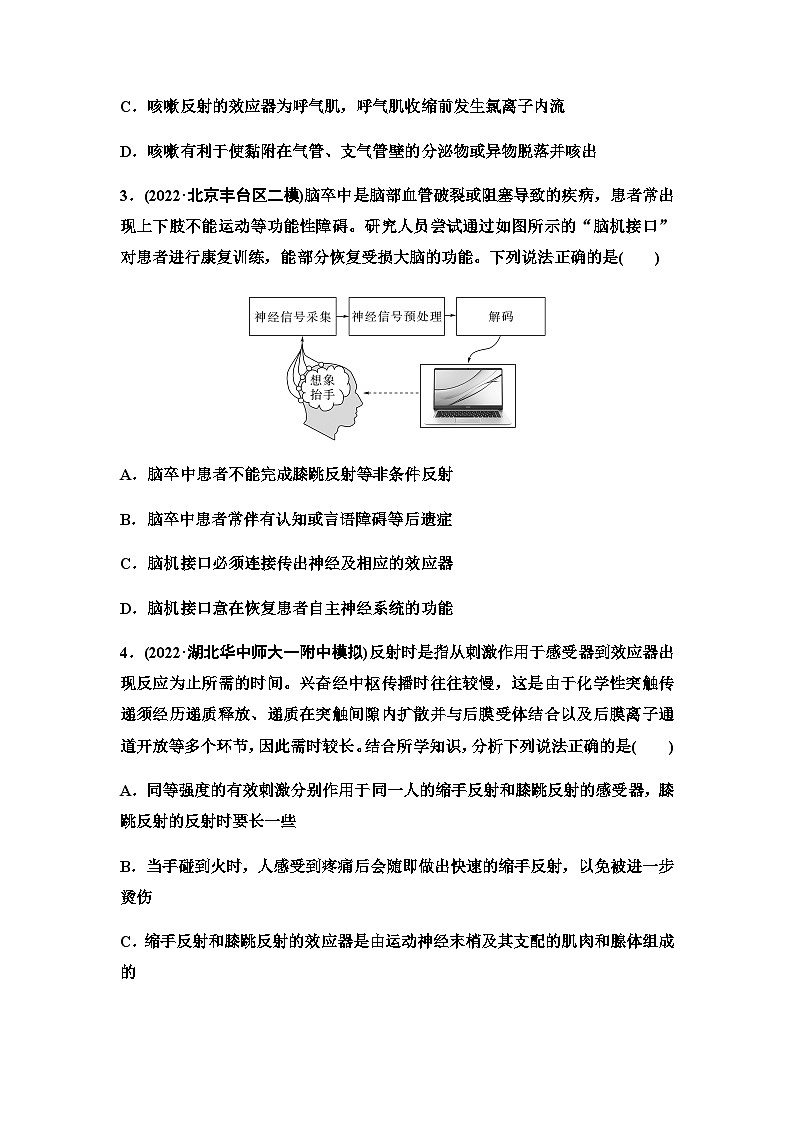 2024届人教版高考生物一轮复习神经调节的结构基础及基本方式作业含答案02