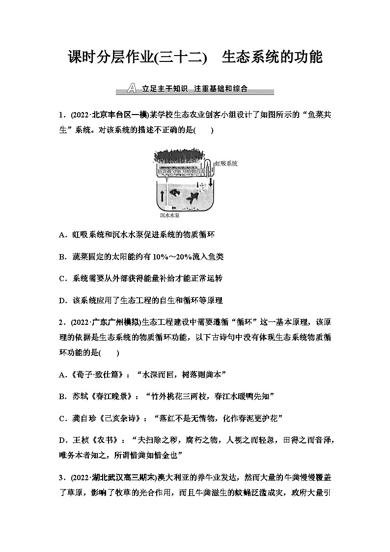 2024届人教版高考生物一轮复习生态系统的功能作业含答案01