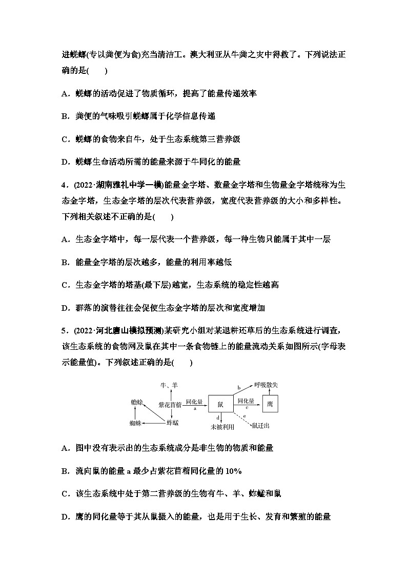 2024届人教版高考生物一轮复习生态系统的功能作业含答案02