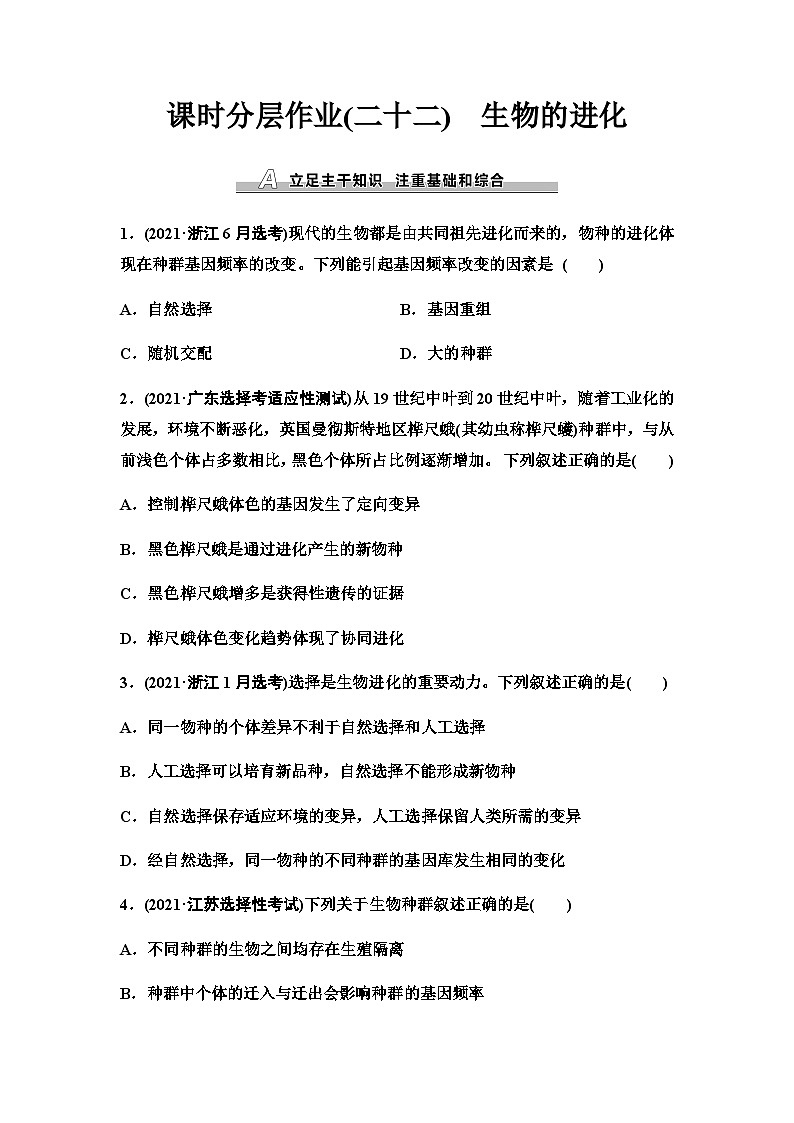2024届人教版高考生物一轮复习生物的进化作业含答案第1页