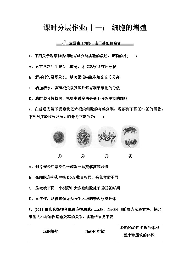 2024届人教版高考生物一轮复习细胞的增殖作业含答案第1页