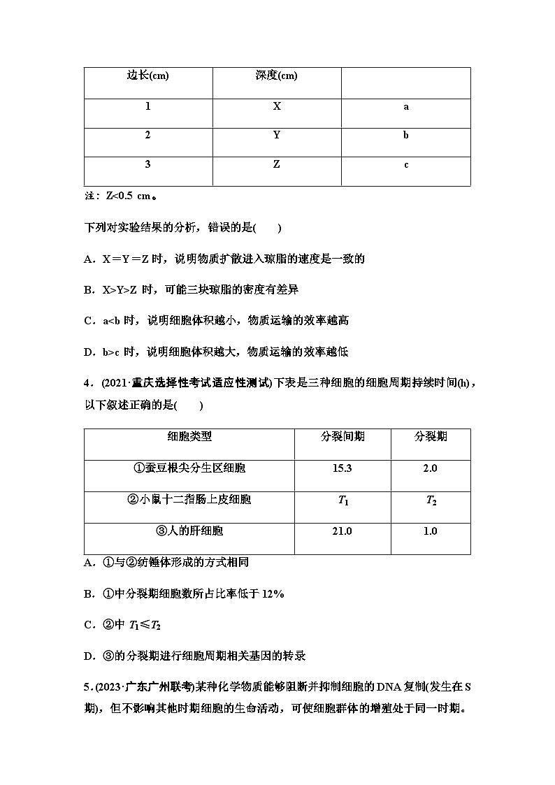 2024届人教版高考生物一轮复习细胞的增殖作业含答案第2页