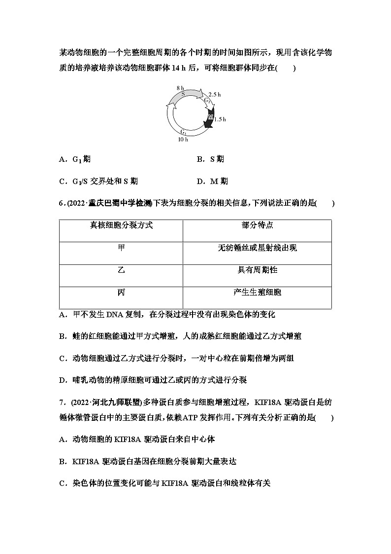 2024届人教版高考生物一轮复习细胞的增殖作业含答案第3页