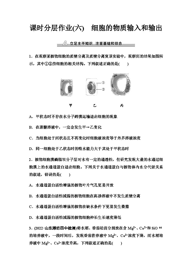 2024届人教版高考生物一轮复习细胞的物质输入和输出作业含答案第1页