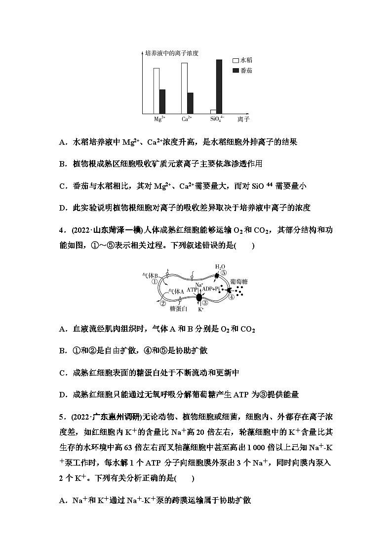 2024届人教版高考生物一轮复习细胞的物质输入和输出作业含答案第2页