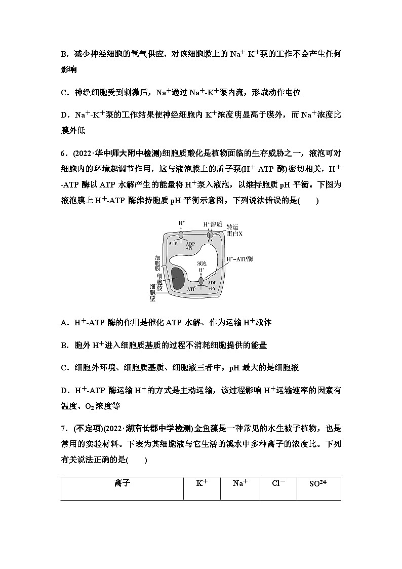 2024届人教版高考生物一轮复习细胞的物质输入和输出作业含答案第3页