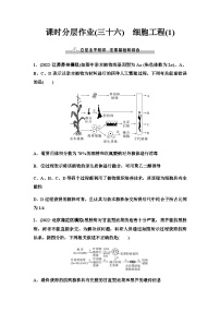 2024届人教版高考生物一轮复习细胞工程(1)作业含答案