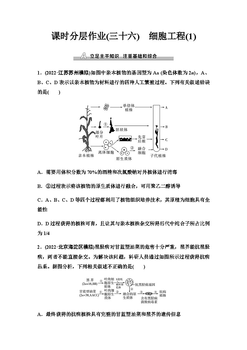 2024届人教版高考生物一轮复习细胞工程(1)作业含答案第1页