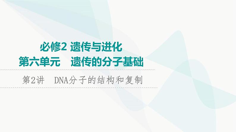 2024届苏教版高考生物一轮复习DNA分子的结构和复制课件第1页