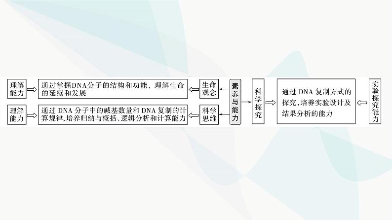 2024届苏教版高考生物一轮复习DNA分子的结构和复制课件第2页