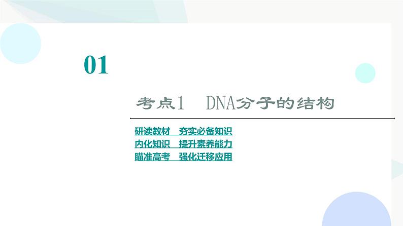 2024届苏教版高考生物一轮复习DNA分子的结构和复制课件第3页