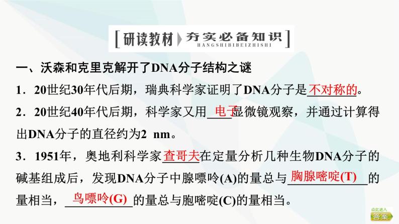 2024届苏教版高考生物一轮复习DNA分子的结构和复制课件04