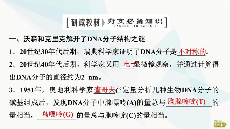 2024届苏教版高考生物一轮复习DNA分子的结构和复制课件第4页