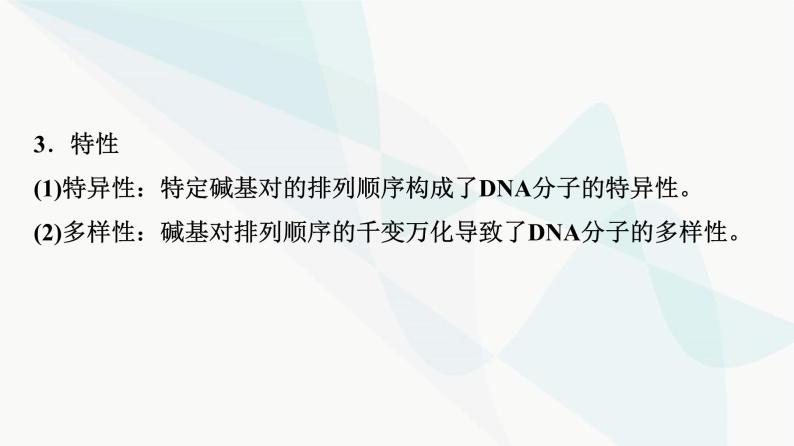 2024届苏教版高考生物一轮复习DNA分子的结构和复制课件08