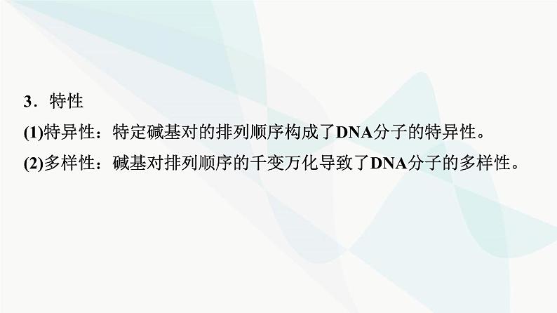 2024届苏教版高考生物一轮复习DNA分子的结构和复制课件第8页