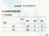 2024届苏教版高考生物一轮复习DNA是主要的遗传物质课件