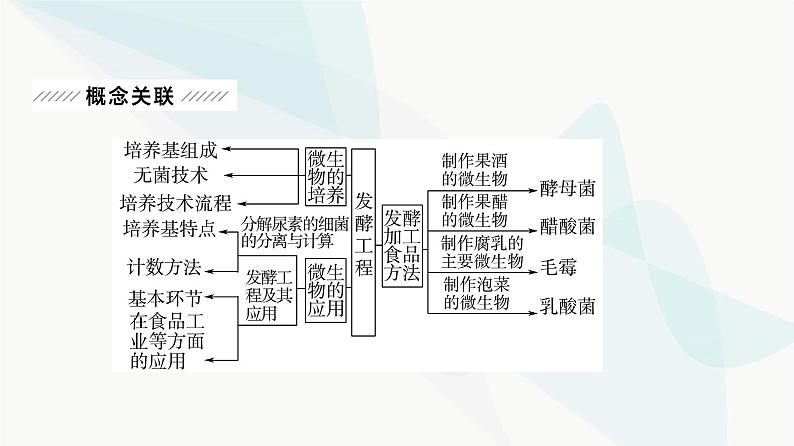 2024届苏教版高考生物一轮复习发酵工程利用微生物的特定功能规模化生产对人类有用的产品课件第3页