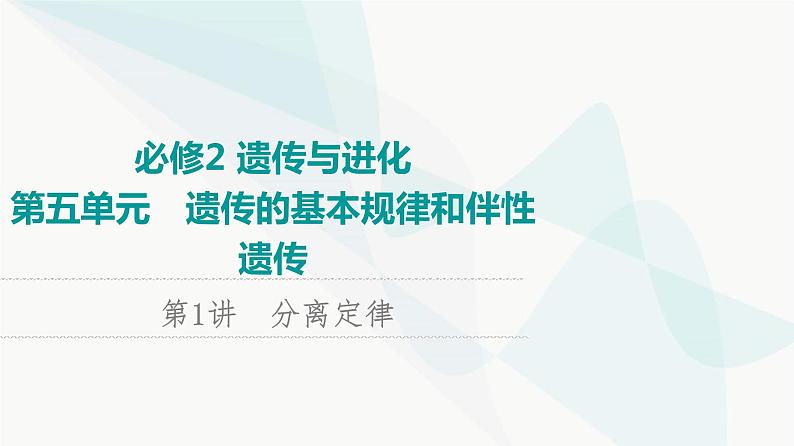 2024届苏教版高考生物一轮复习分离定律课件第1页